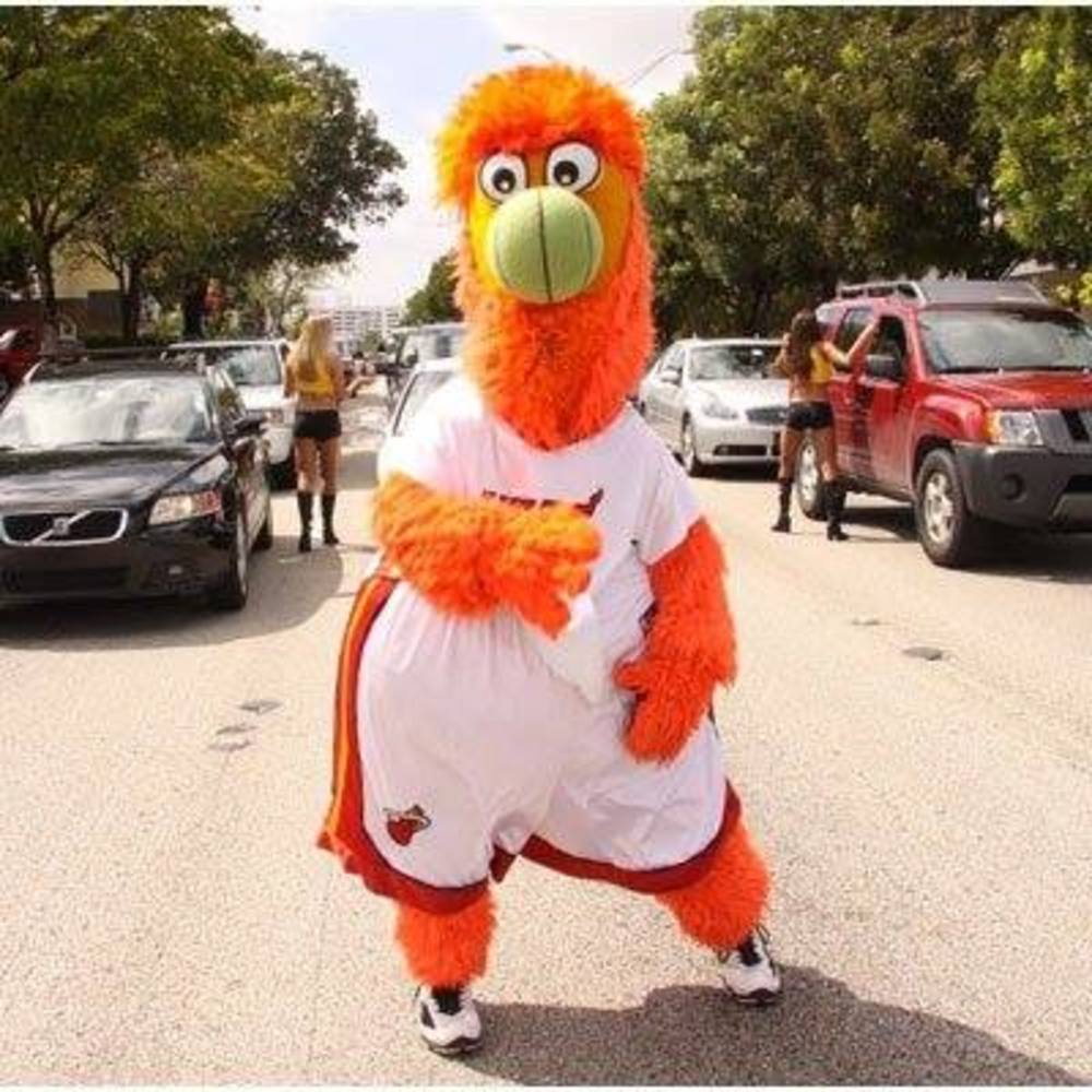 Meet your Posher, George